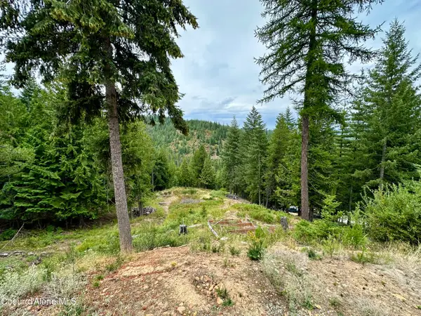 625 E Fork French Gulch RD, Kingston, ID 83839