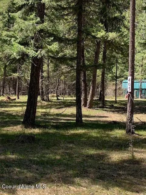 405 Shady LN, Wallace, ID 83873 - #1