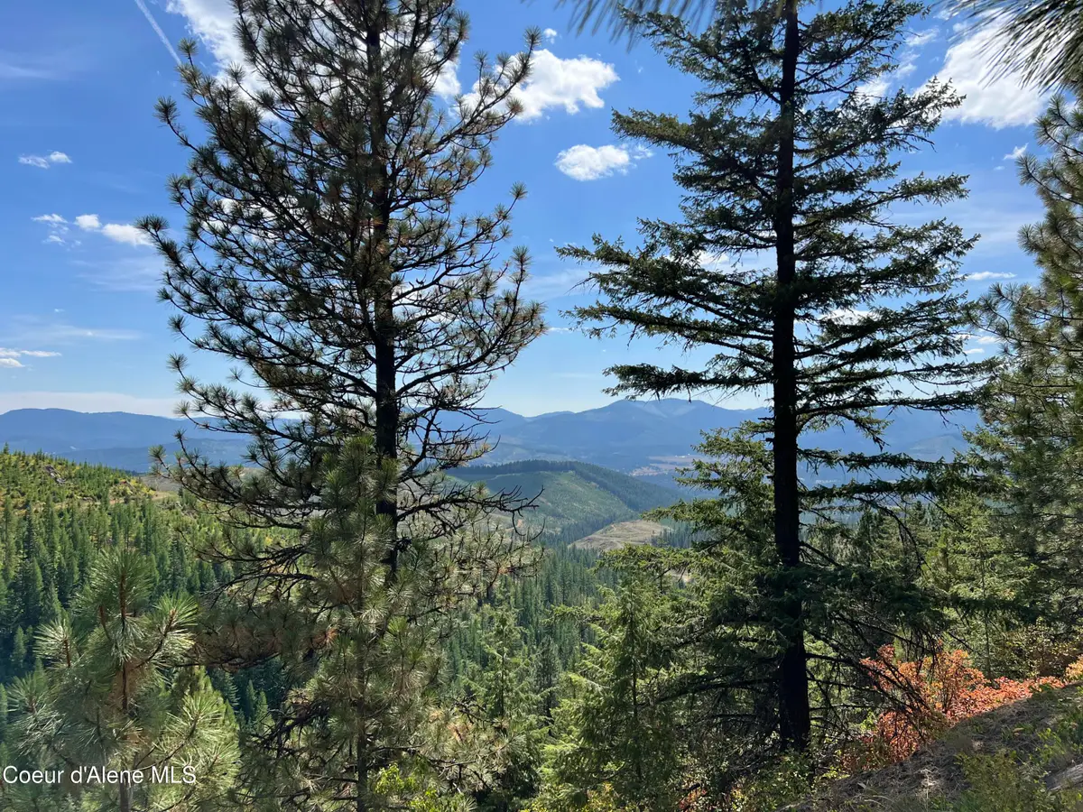 1425 Upriver View DR, Fernwood, ID 83830 - #1