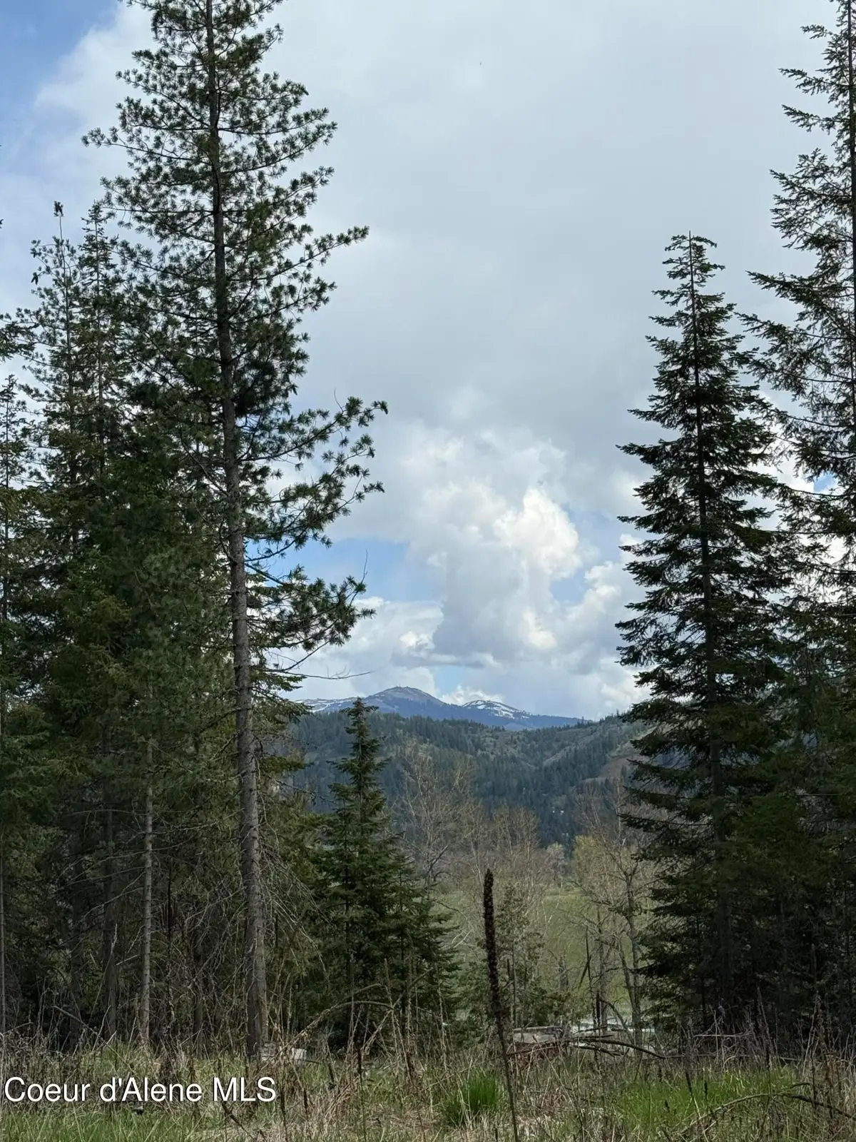 NKA St..Maries River Rd Lot #5, Saint Maries, ID 83861 - #1