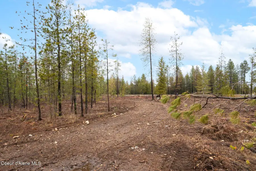 L14 B1 N Mountain View Rd, Rathdrum, ID 83858 - Image #3