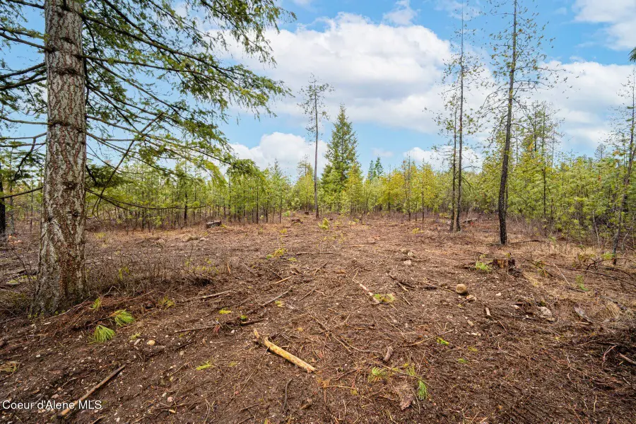 L15 B1 N Mountain View Rd, Rathdrum, ID 83858 - Image #3