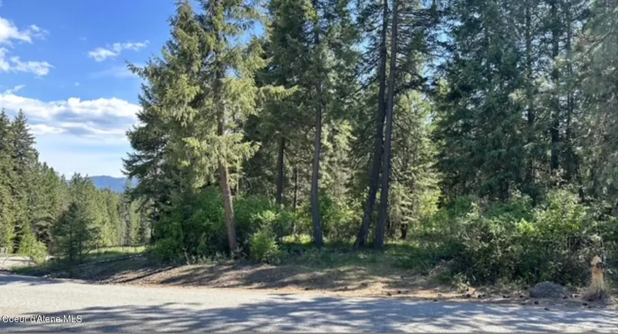 NAA S Whitetail Crossing Ct, Coeur Dalene, ID 83814 - #3
