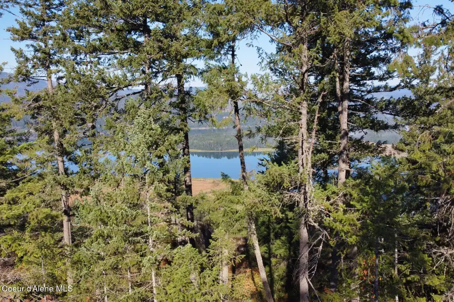 NNA Lot 8 Luna Ridge, Sagle, ID 83860 - #3