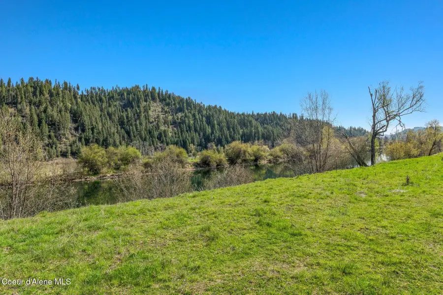 L3 Horn Hooked Estates, Saint Maries, ID 83861 - #3