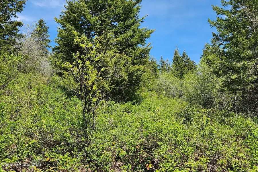 NNA All Seasons Rd, Naples, ID 83847 - #3