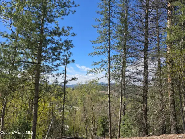 821 Lower Page Rd, Smelterville, ID 83868
