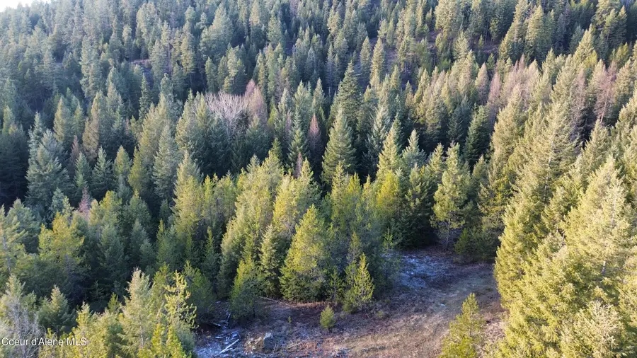 L7 B1 KELSO WOODS DR, Athol, ID 83801 - Image #3