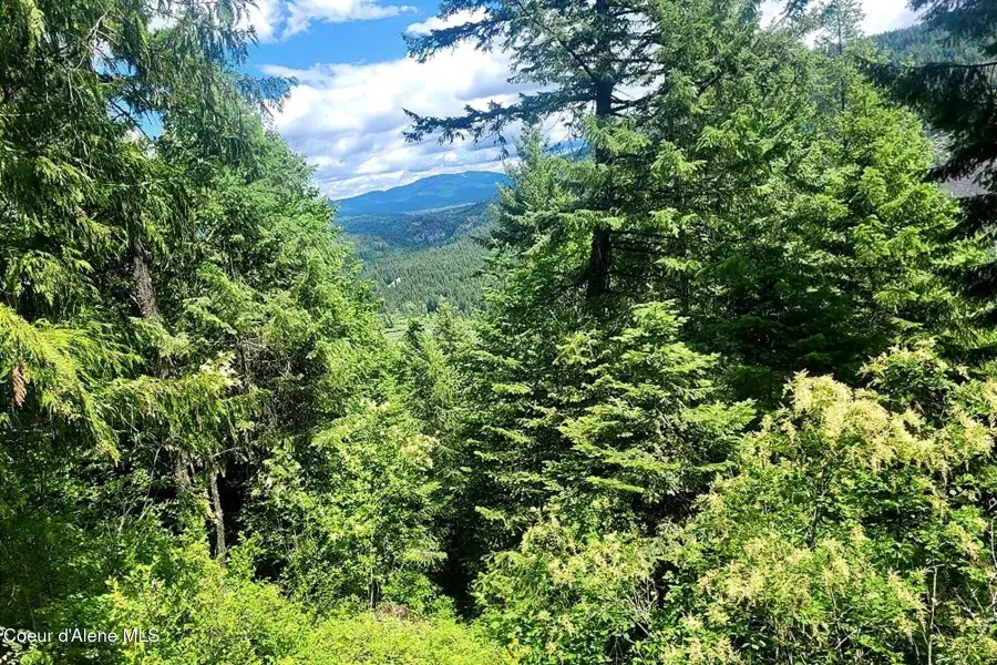 NNA Lower Pack River Rd, Sandpoint, ID 83864 - #3