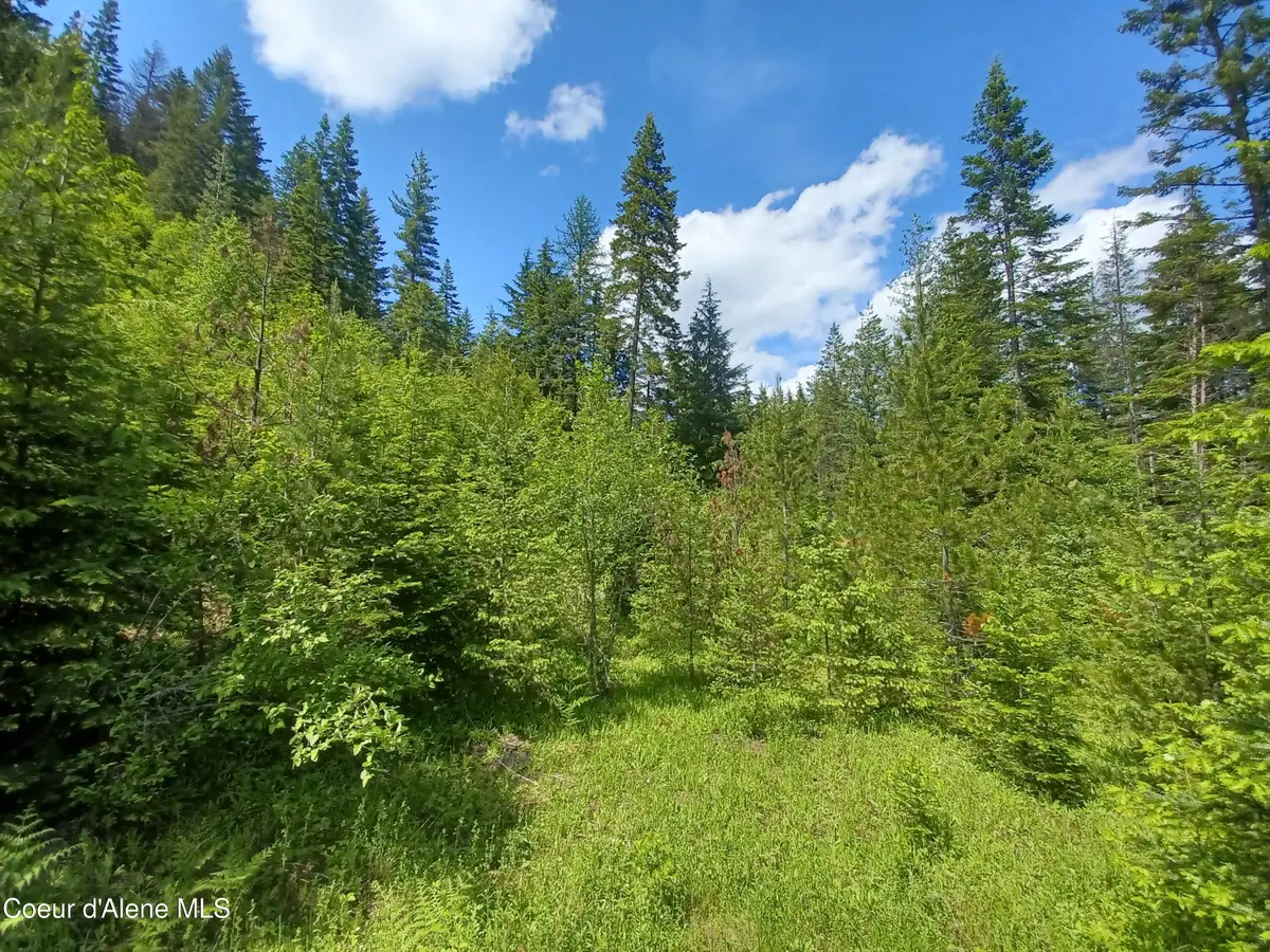 127 Coyote Trail, Priest River, ID 83856 - Image #1