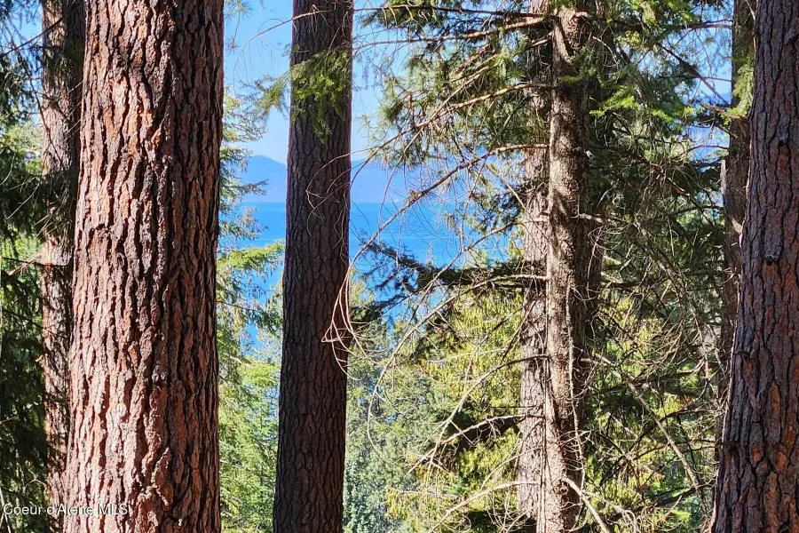 NNA E David Thompson Rd, Hope, ID 83836 - #3