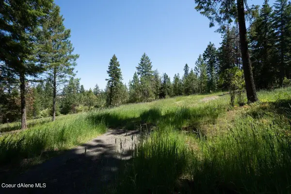 7728 W Radford Lane, Worley, ID 83876