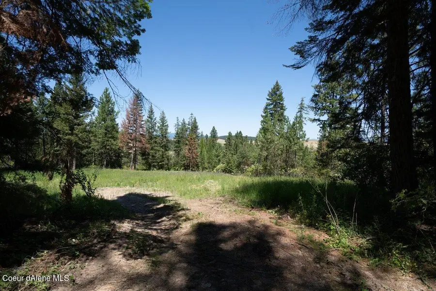 7728 W Radford Lane, Worley, ID 83876 - #2