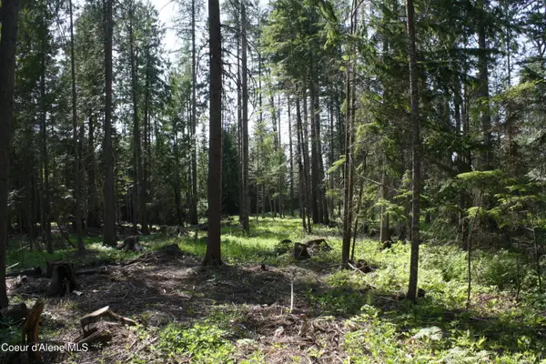 NKA River Lake DR, Clark Fork, ID 83811