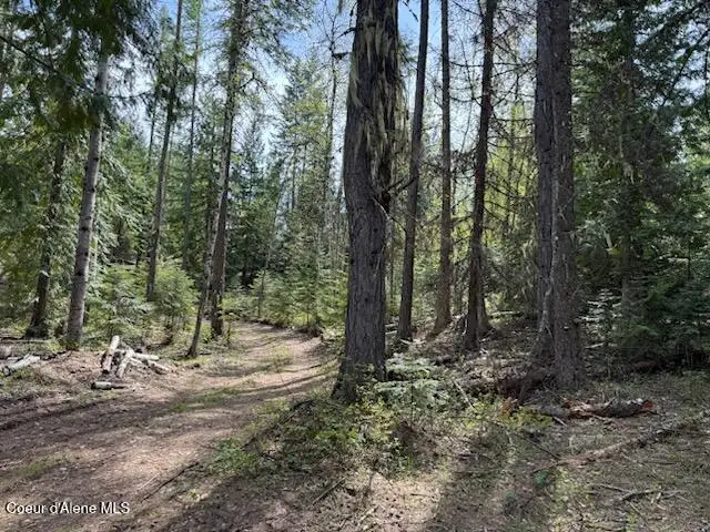 NNA Raven Ridge Rd, Sandpoint, ID 83864 - #2