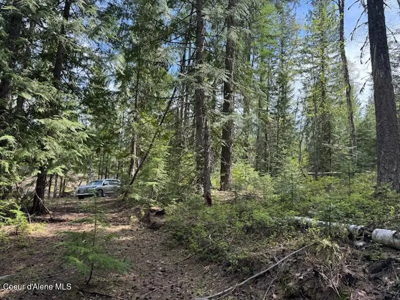 NNA Raven Ridge Rd, Sandpoint, ID 83864 - #3