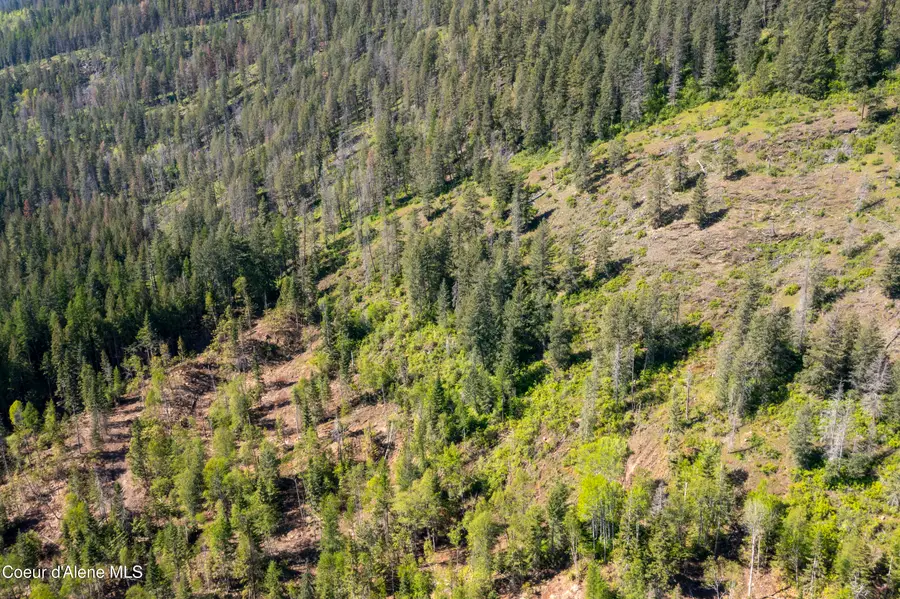 NNA WESTSIDE RD PARCEL 9, Bonners Ferry, ID 83805 - #2
