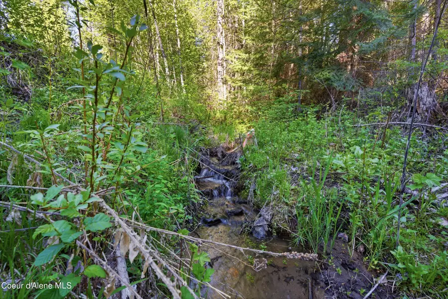 NNA Stone Rd Lot 2 (20.0 Acres), Blanchard, ID 83804 - #2