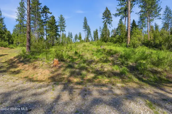 NNA Stone Rd Lot 5 (20.0 Acres), Blanchard, ID 83804