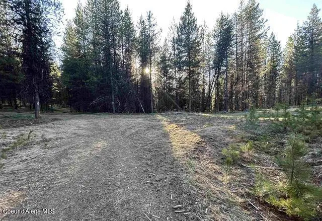 162 Coopers LN, Dixie, ID 83525 - #1