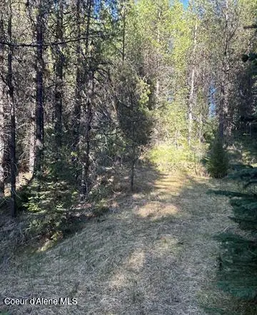 162 Coopers LN, Dixie, ID 83525 - #3