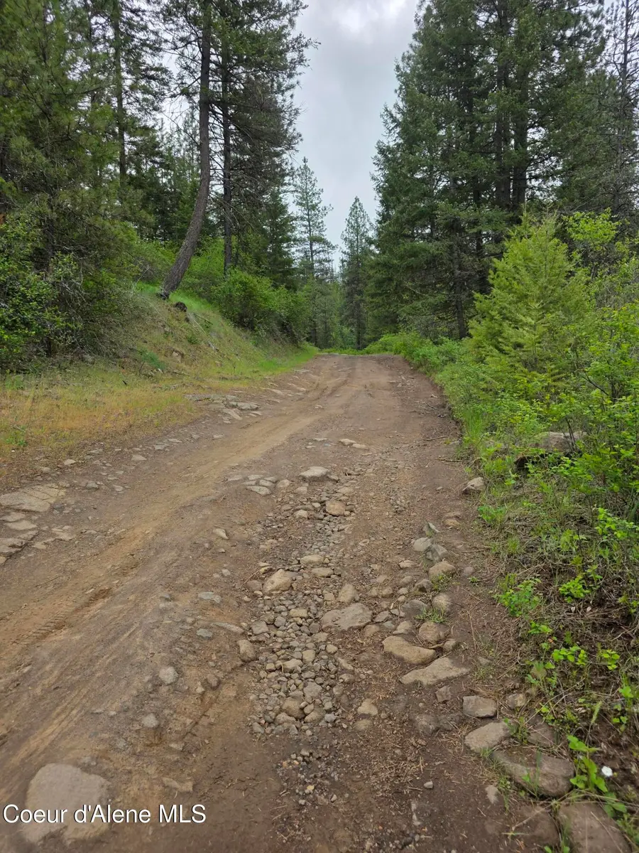 727 Blake Creek RD, Saint Maries, ID 83861 - #3