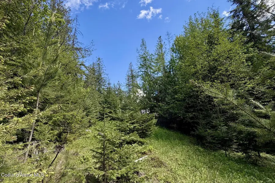 NNA Lot 4 Silver Reef Rd, Sagle, ID 83860 - #2