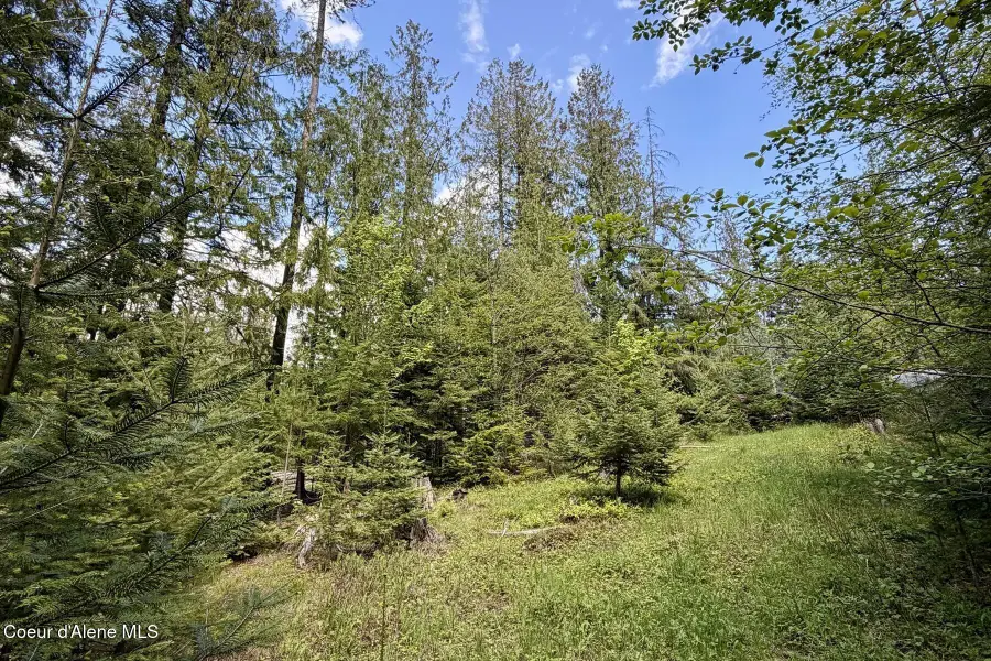 NNA Lot 4 Silver Reef Rd, Sagle, ID 83860 - #3