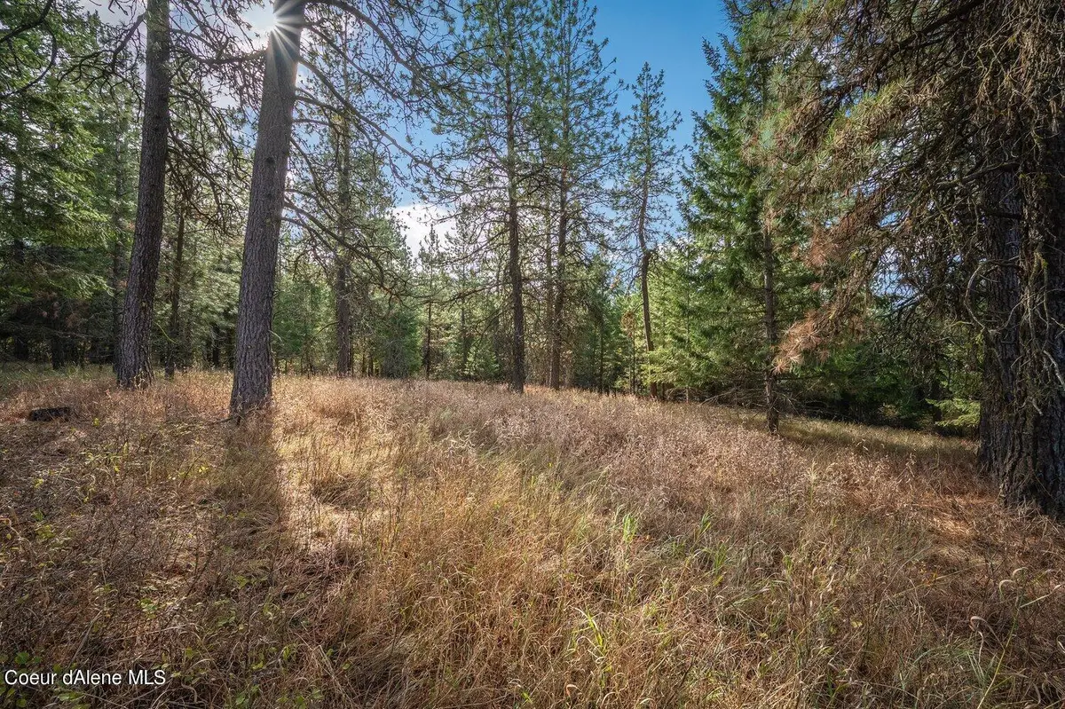 NKA 10AC Becky Lane, Worley, ID 83876 - #1