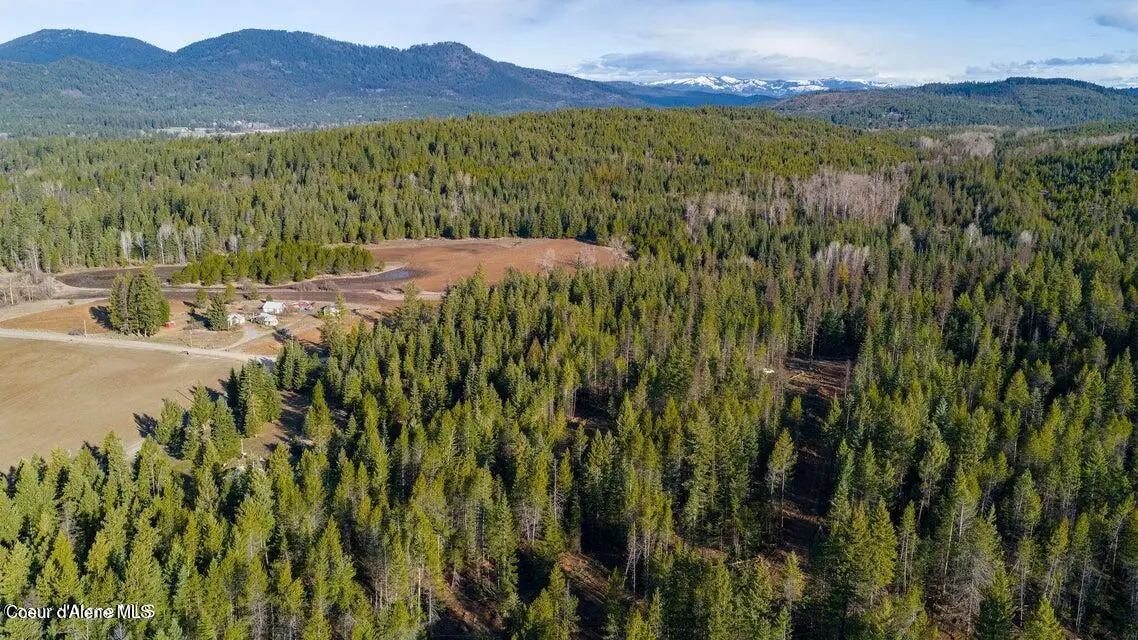 NKA Abundant Life (Lot 3) Court, Athol, ID 83801 - #1