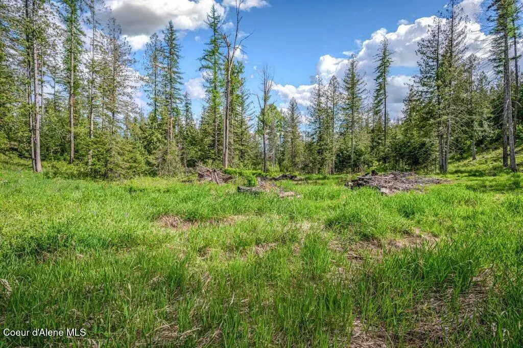 NNA Oleander Dr., Sandpoint, ID 83864 - #1
