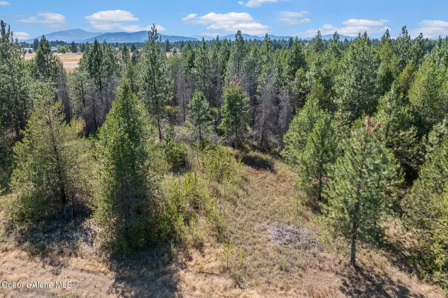 Lot 18 Asulkan St, Athol, ID 83801 - #2