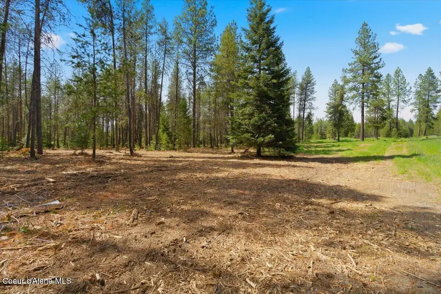 NKA 10-Ac E Parks Rd, Athol, ID 83801 - #3
