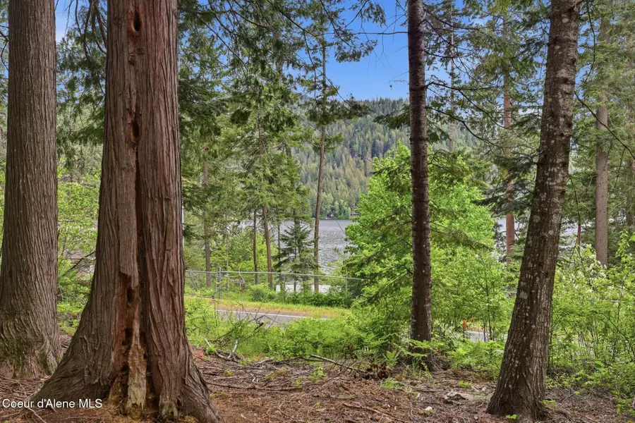 8993 W Twin Lakes RD, Rathdrum, ID 83858 - #3