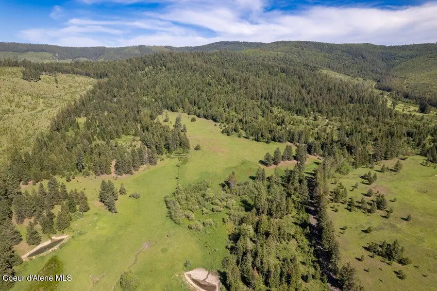 NKA Waddell Rd, Saint Maries, ID 83861 - #2