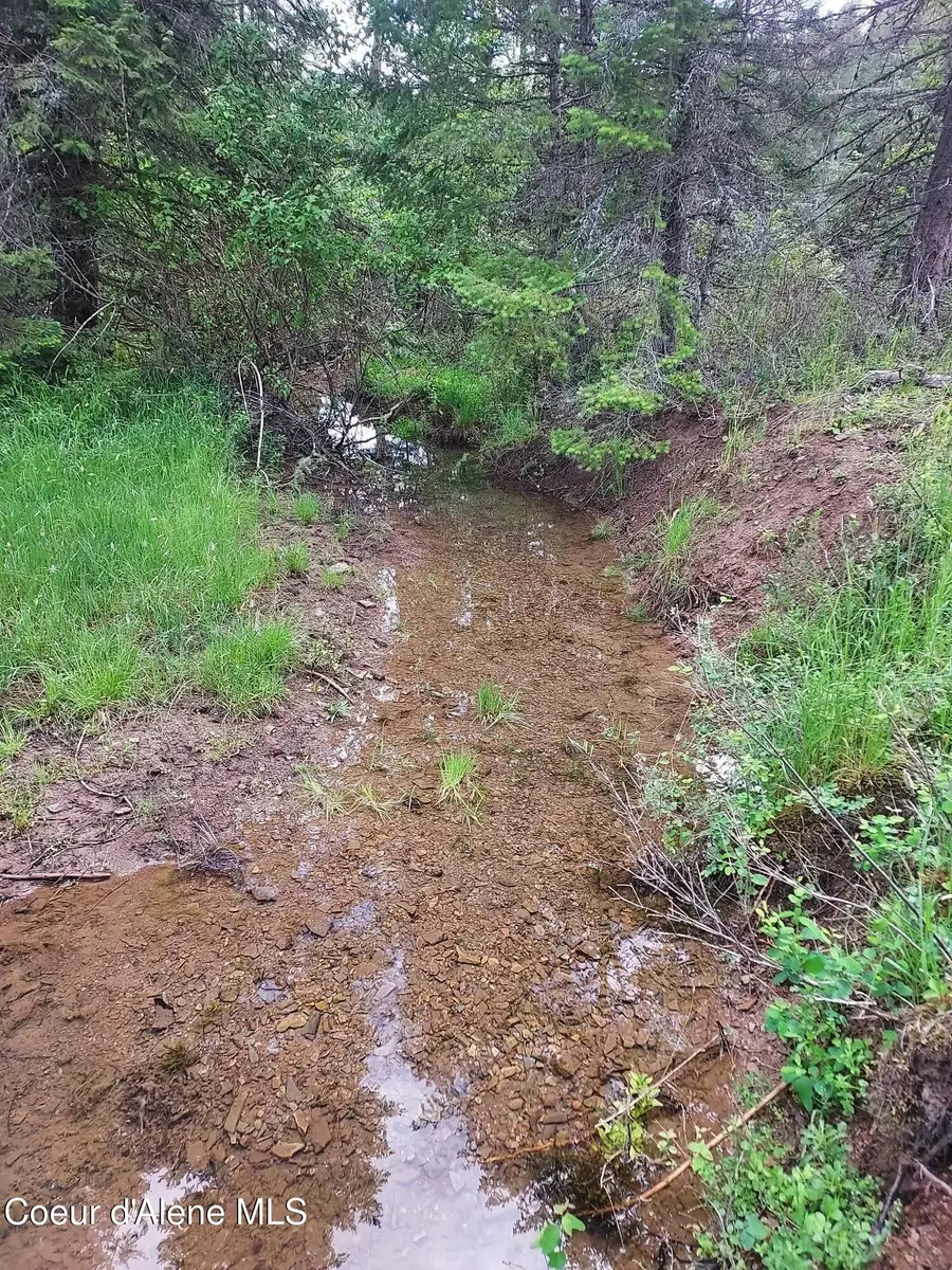 NKA E Alder Creek Rd, Coeur Dalene, ID 83814 - #2