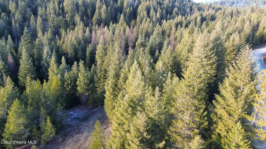 L6 B1 KELSO WOODS DR, Athol, ID 83801 - Image #2