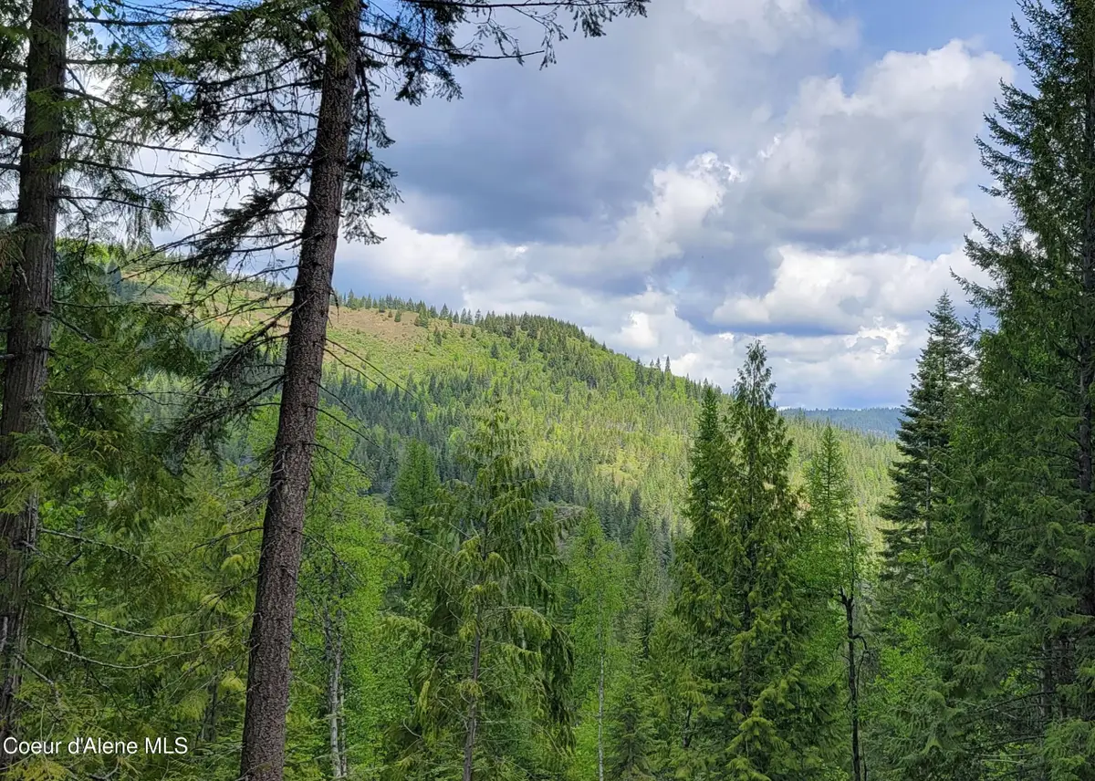 NNA Pup Paw Trail, Priest River, ID 83856 - #1