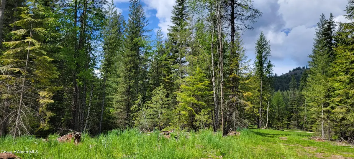 NNA Pup Paw Trail - North, Priest River, ID 83856 - #1