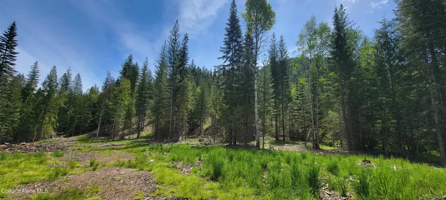 NNA Pup Paw Trail - North, Priest River, ID 83856 - #3
