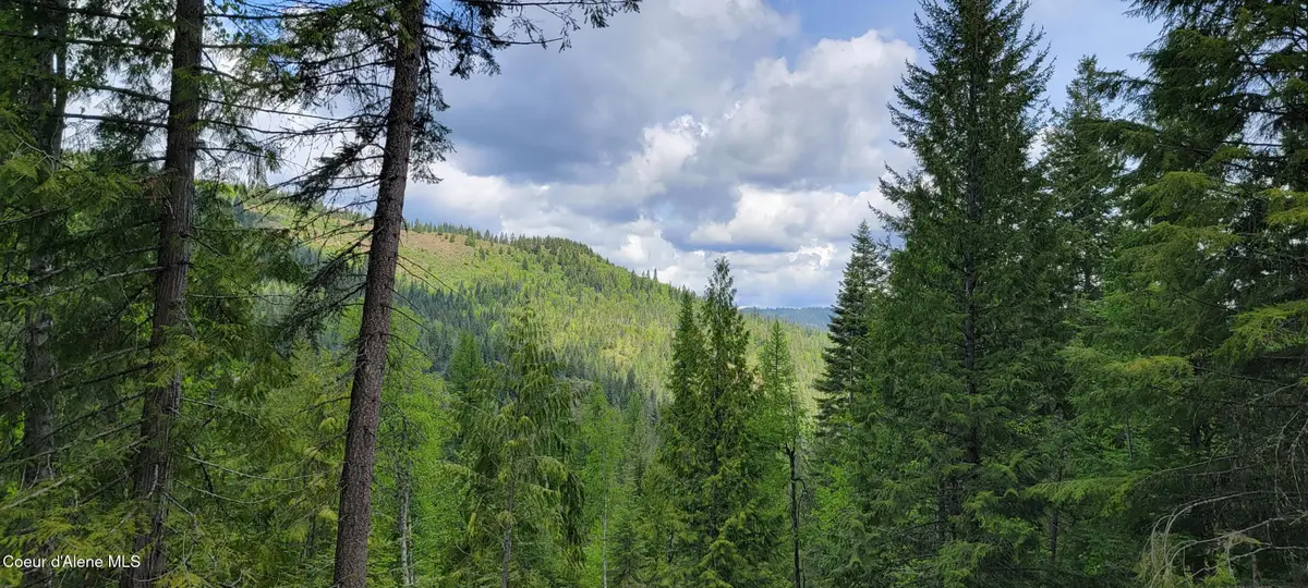 NNA Pup Paw Trail South, Priest River, ID 83856 - #1