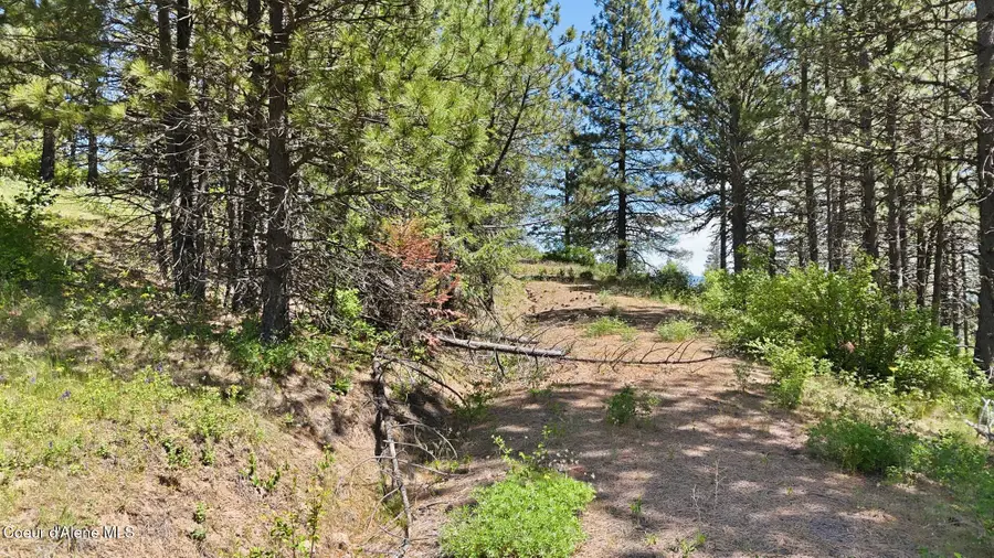 NNA S AURORA LN, Worley, ID 83876 - #2