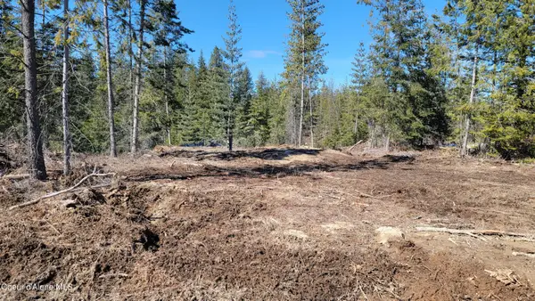 Lot 2 Pioneer LN, Priest River, ID 83856