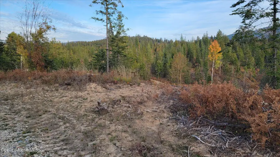 Lot 2 Pioneer LN, Priest River, ID 83856 - Image #2