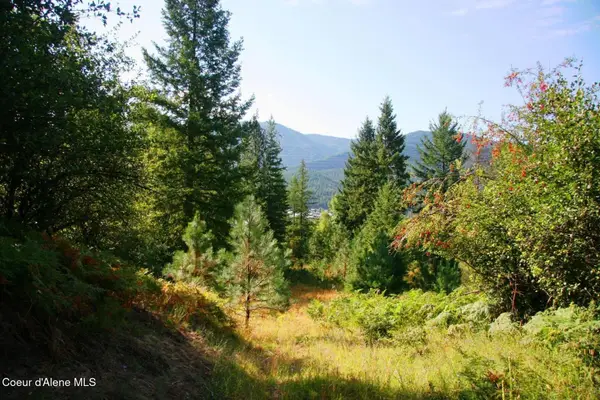 1985 Southfork Ridge Rd, Smelterville, ID 83868