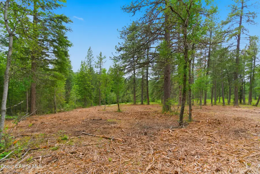 Parcel A S Dunlap Rd, Harrison, ID 83833 - #3