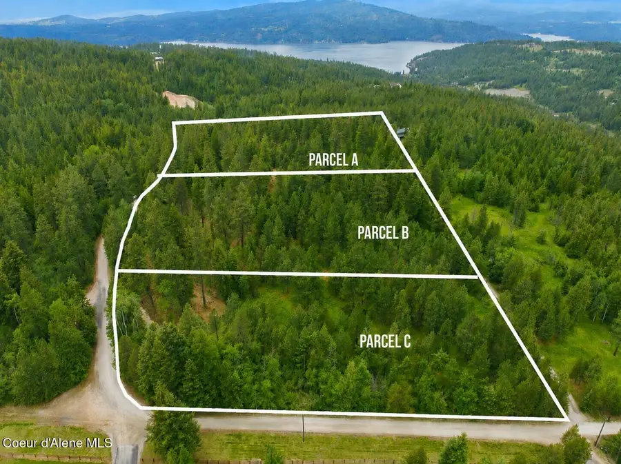 Parcel B S Dunlap Rd, Harrison, ID 83833 - #3