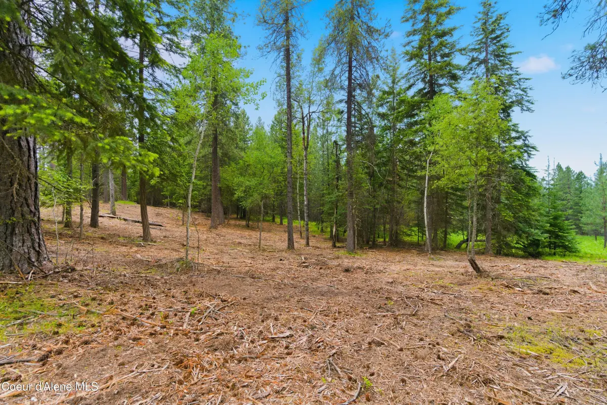 Parcel C S Dunlap Rd, Harrison, ID 83833 - #1