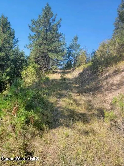 NKA Smelterville, Smelterville, ID 83868 - #2