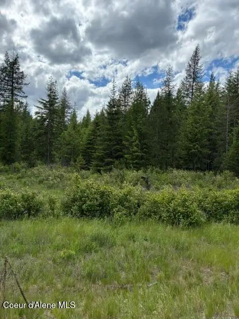 Good Hope Road, Athol, ID 83801 - #1
